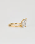 Paola, Pear Cut