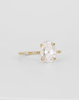 Amelie Oval