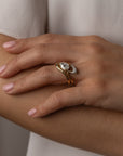 Juno Pavé Band